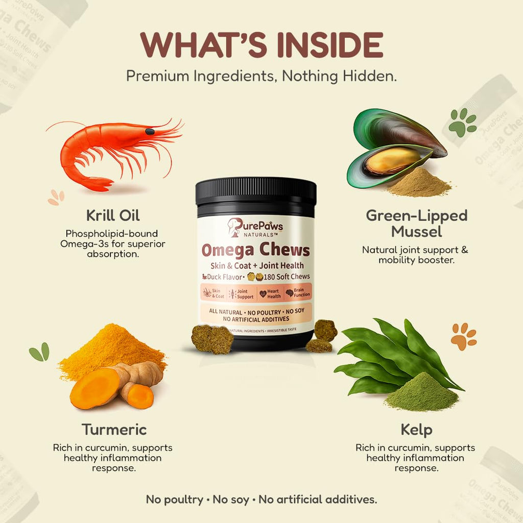Omega-3 Dog Chews – Krill Oil & Green-Lipped Mussel | PurePaws Naturals